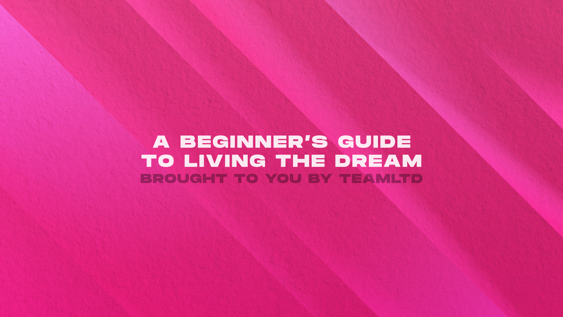 A Beginner's Guide To Living The Dream