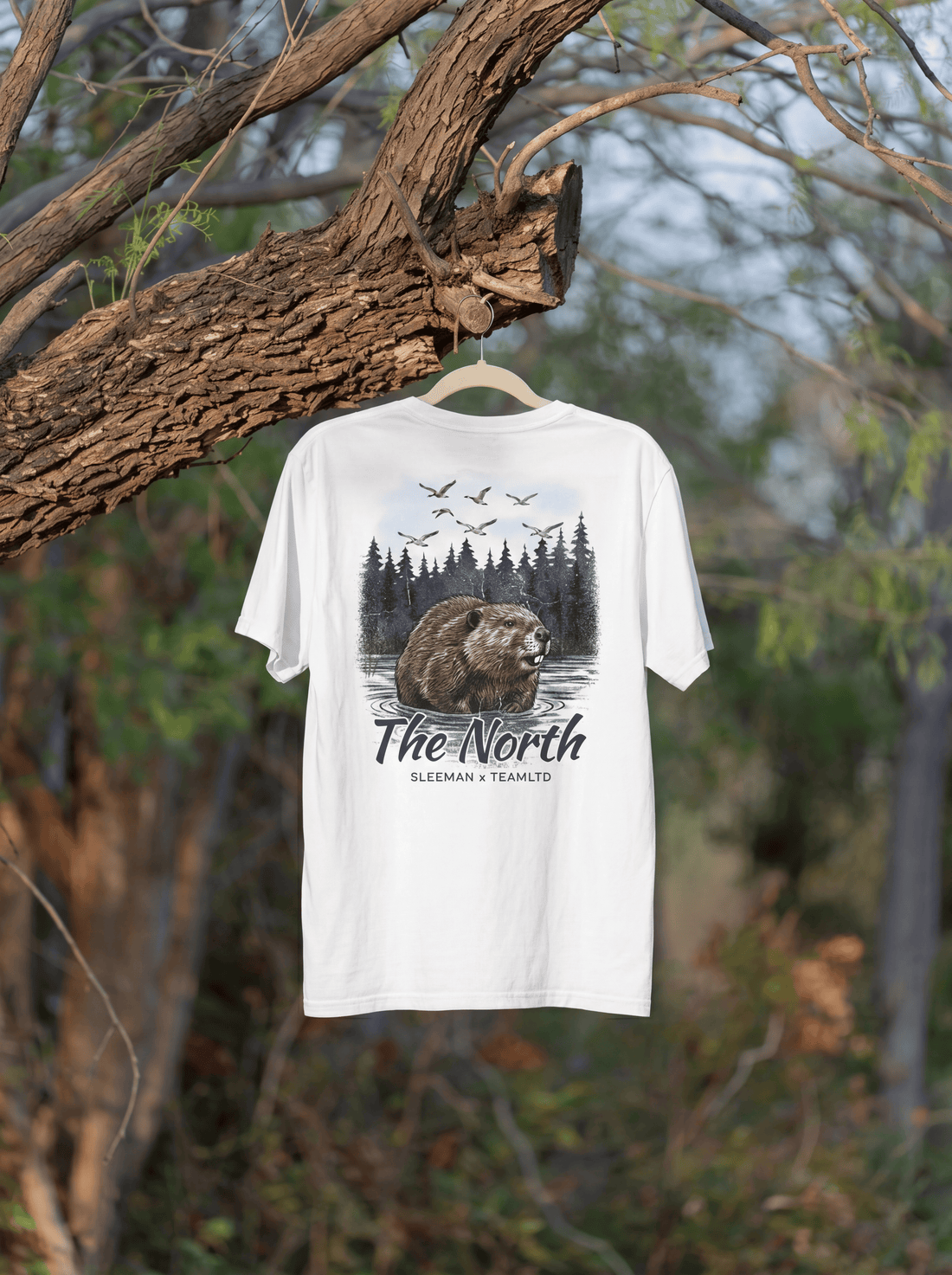 Northern Waters Tee