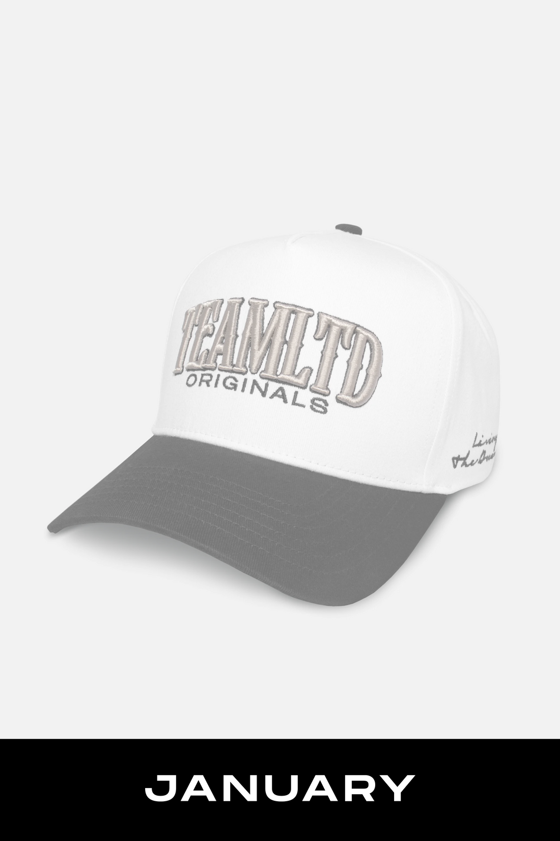 Originals Snapback