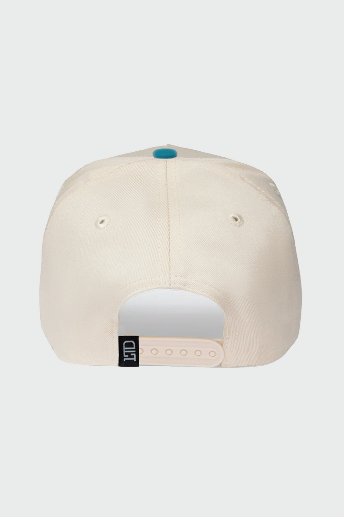 Lucknow Festival Snapback - Teal & Cream