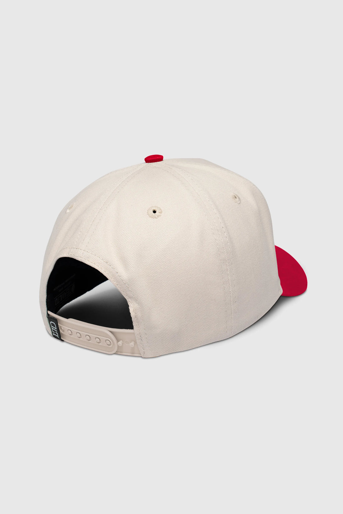NORTH Snapback