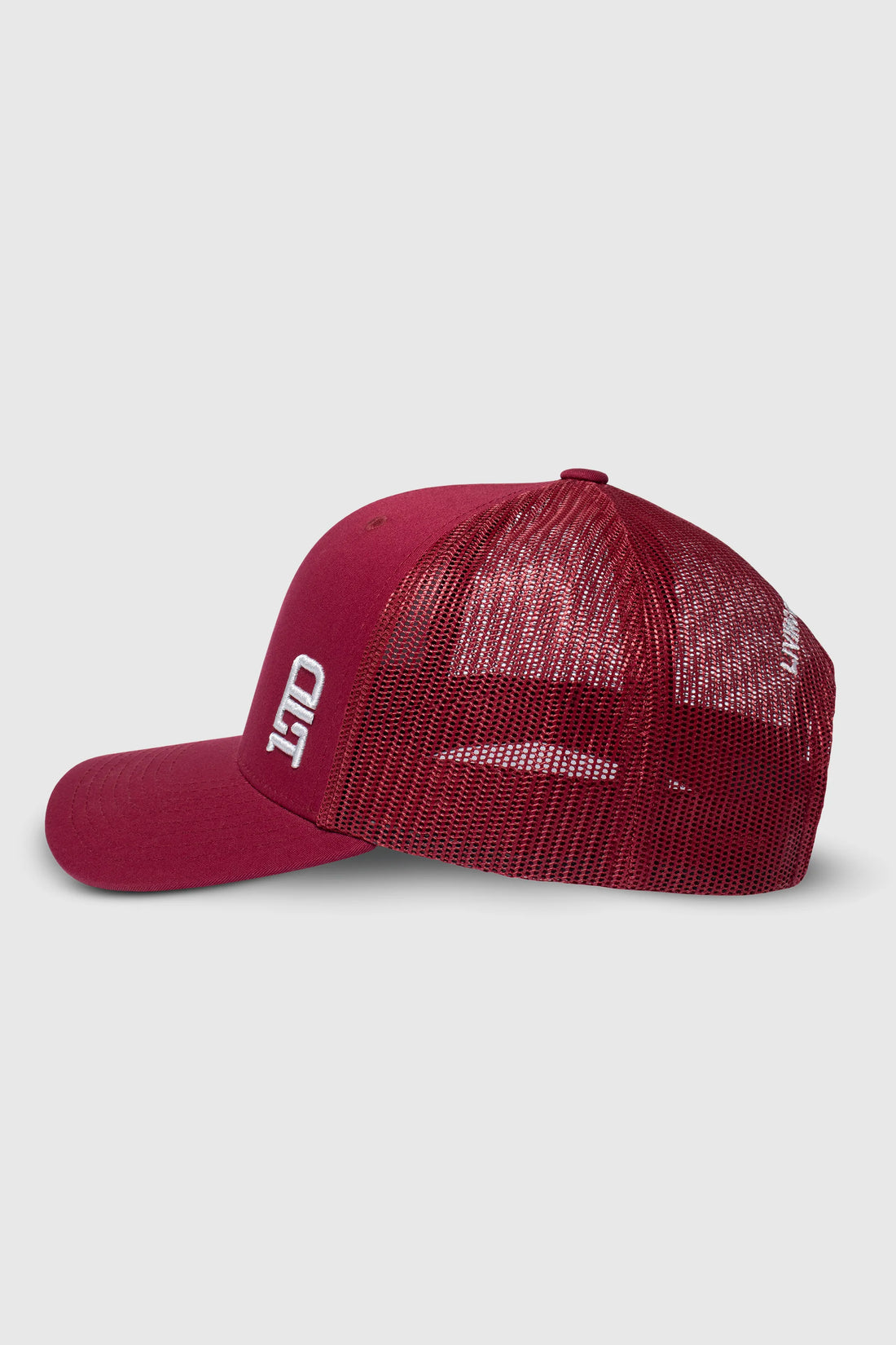 LTD Snapback